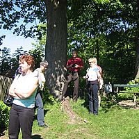 IMG 5950